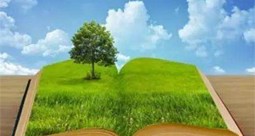 第二屆 美麗中國 我是行動者——“指尖上的環(huán)?！惫嫘麄骰顒訂?></a></div>
						</div>
						<div   id=